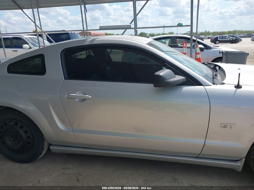 2006 Ford Mustang Gt VIN: 1ZVFT82H165144359 Lot: 42922829