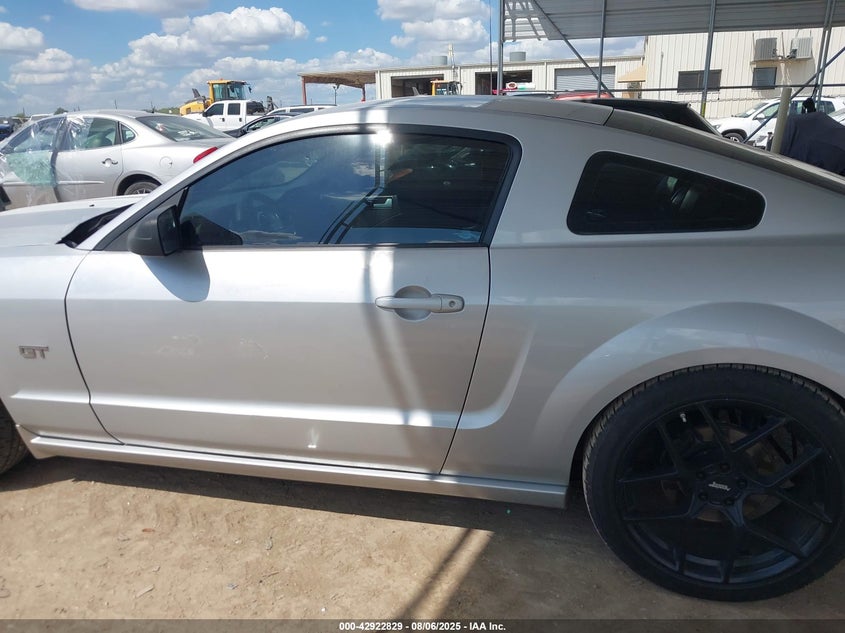 2006 Ford Mustang Gt VIN: 1ZVFT82H165144359 Lot: 42922829