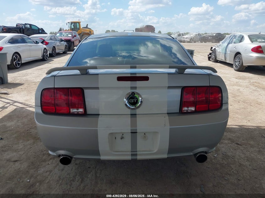2006 Ford Mustang Gt VIN: 1ZVFT82H165144359 Lot: 42922829