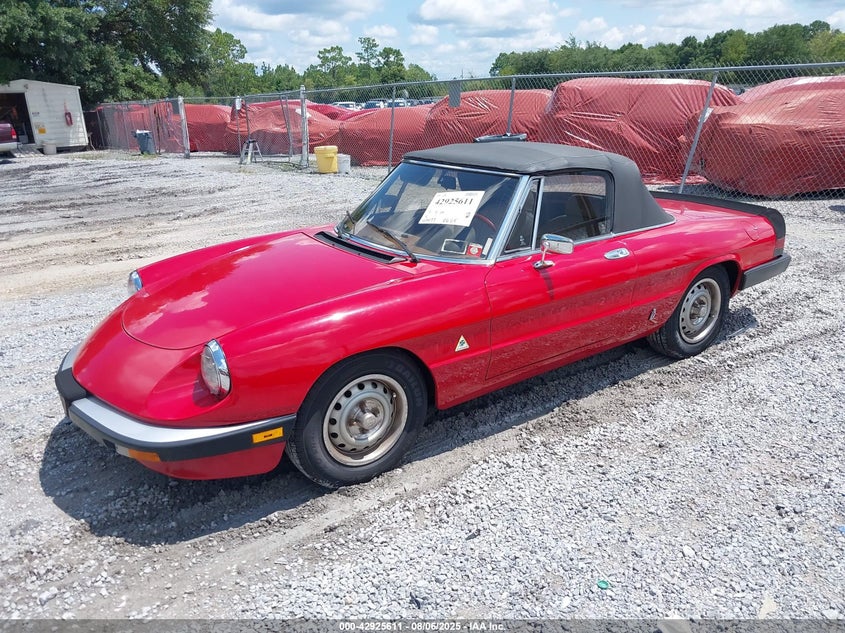 1985 Alfa Romeo Veloce 2000 Spider