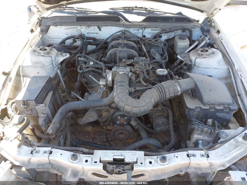 2006 Ford Mustang V6 VIN: 1ZVFT80N265160000 Lot: 42929855