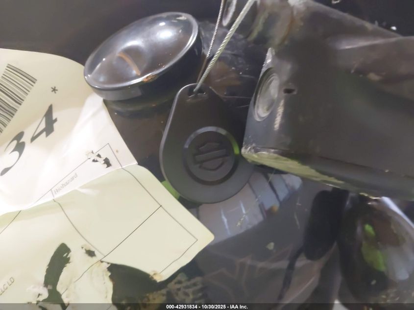 2021 Harley-Davidson Fxlrs VIN: 1HD1YWK22MB054083 Lot: 42931834