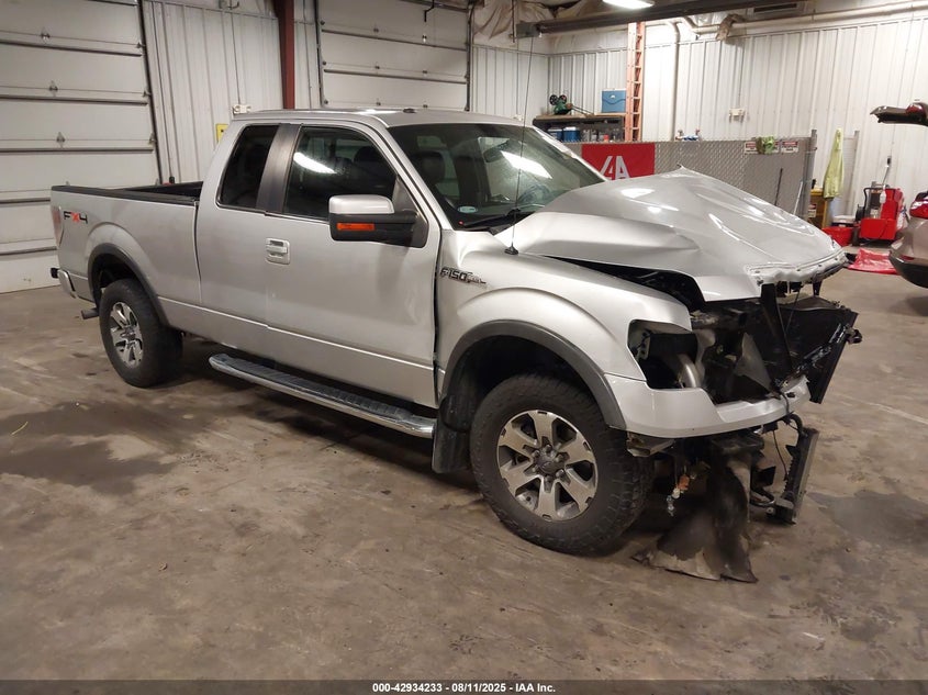 FORD F-150 FX4