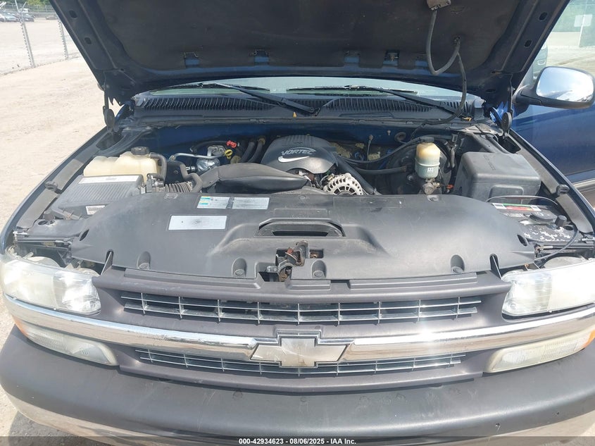 2002 Chevrolet Silverado 1500 Ls VIN: 2GCEC19TX21172513 Lot: 42934623