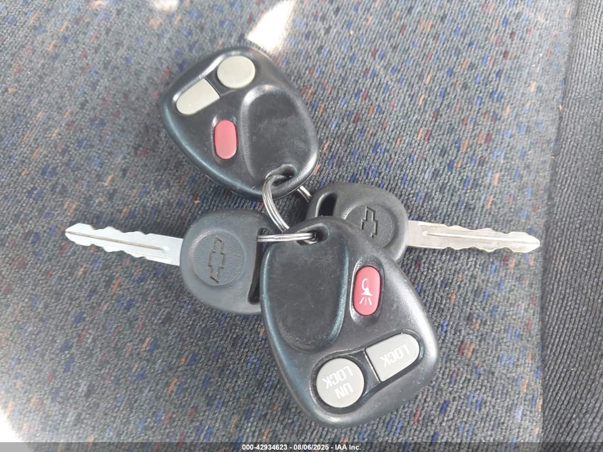 2002 Chevrolet Silverado 1500 Ls VIN: 2GCEC19TX21172513 Lot: 42934623