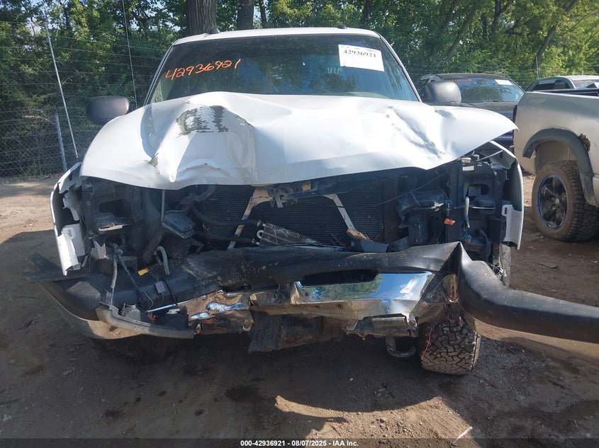 2004 Chevrolet Silverado 1500 Z71 VIN: 2GCEK13T341351457 Lot: 42936921