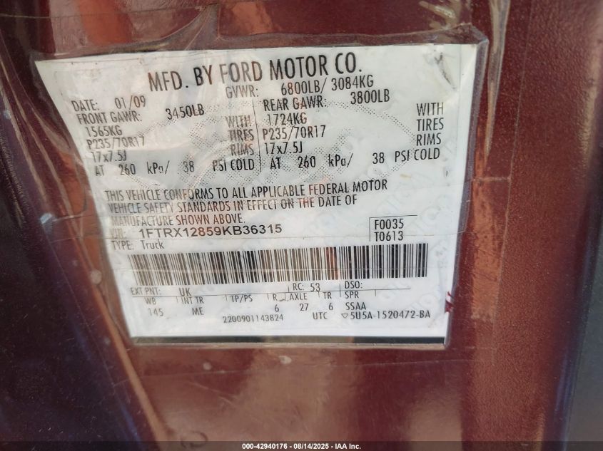 2009 Ford F-150 Stx/Xl/Xlt VIN: 1FTRX12859KB36315 Lot: 42940176