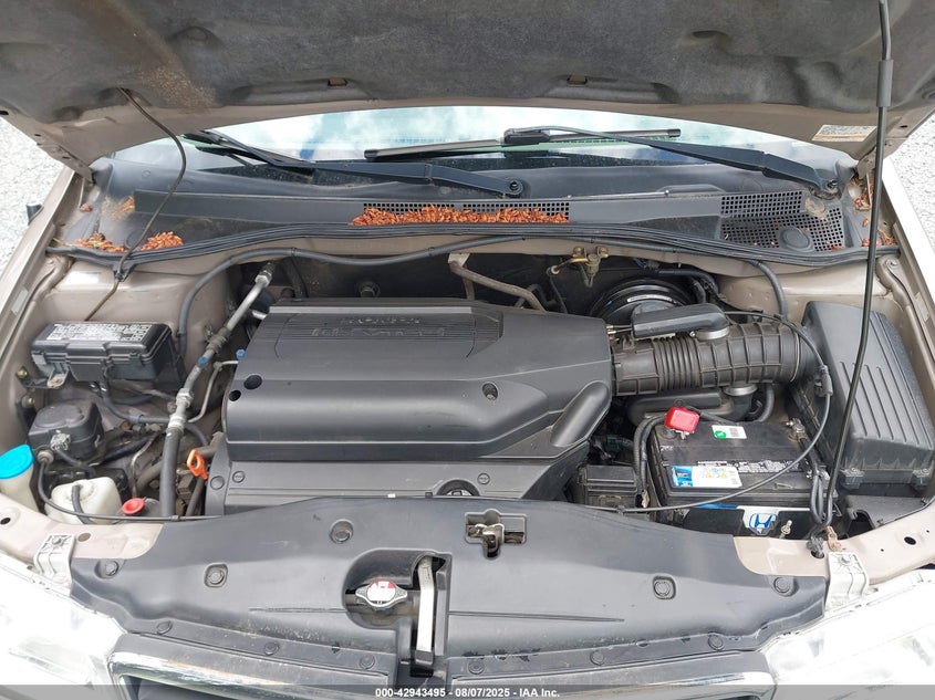 2004 Honda Odyssey Ex VIN: 5FNRL186X4B057584 Lot: 42943495