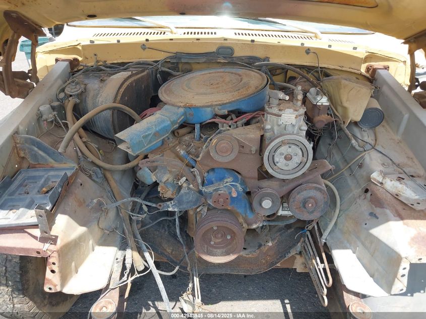 1975 Ford F250 VIN: F25MKU42572 Lot: 43384520