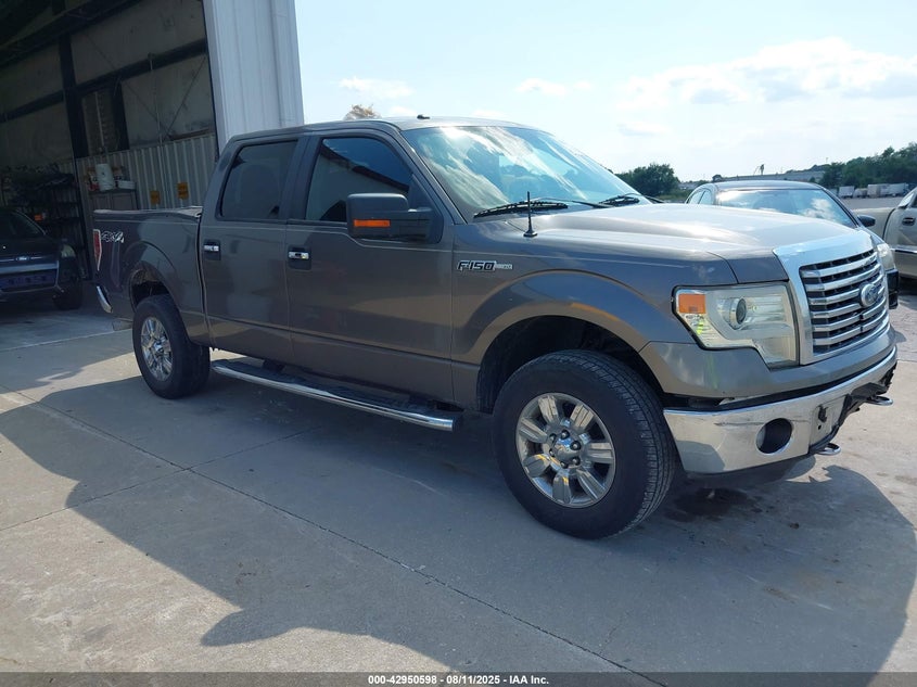FORD F-150 XLT