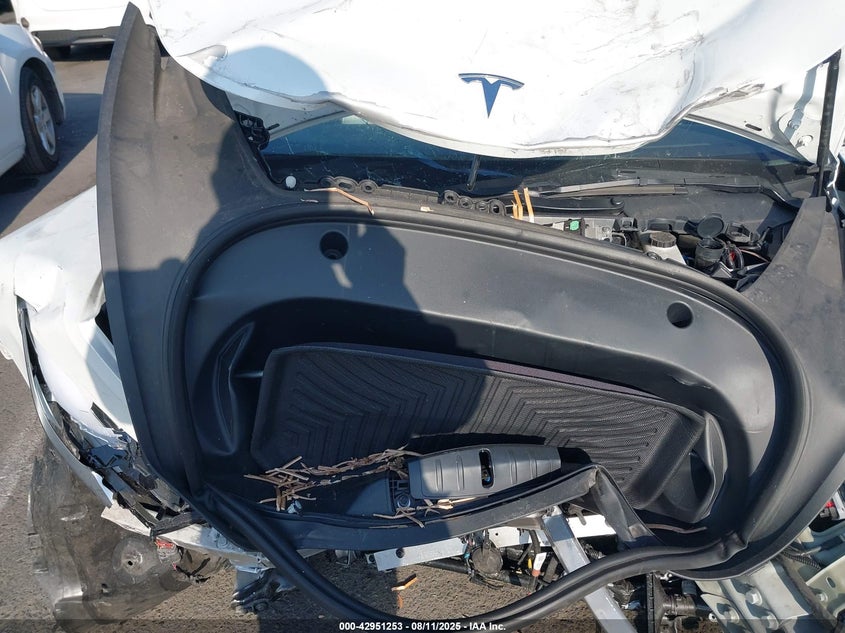 2023 Tesla Model 3 Rear-Wheel Drive VIN: 5YJ3E1EA6PF655944 Lot: 42951253