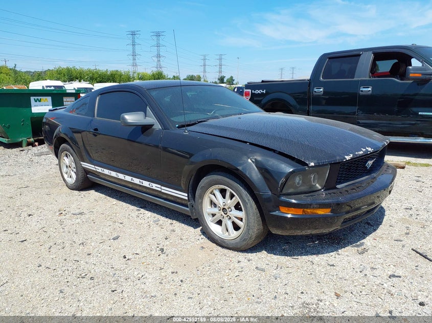 1ZVFT80N775224887 2007 Ford Mustang V6 Deluxe/V6 Premium auction photo 1