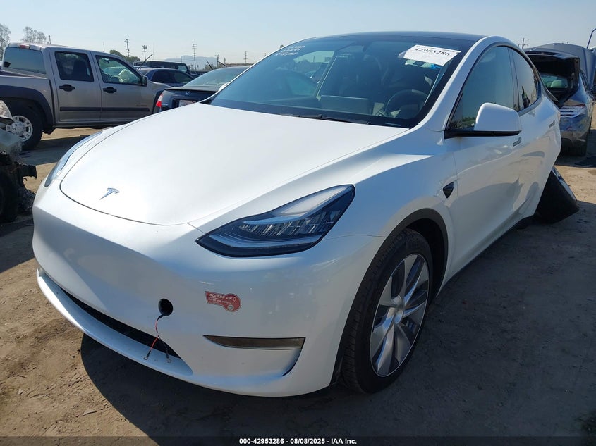 VIN 7SAYGDEEXPA150557 2023 TESLA MODEL Y AWD/LONG RANGE DUAL MOTOR ALL-WHEEL DRIVE