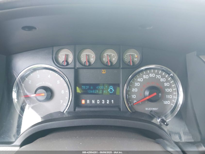 2010 Ford F-150 Xlt VIN: 1FTEW1C83AFC46423 Lot: 42954251