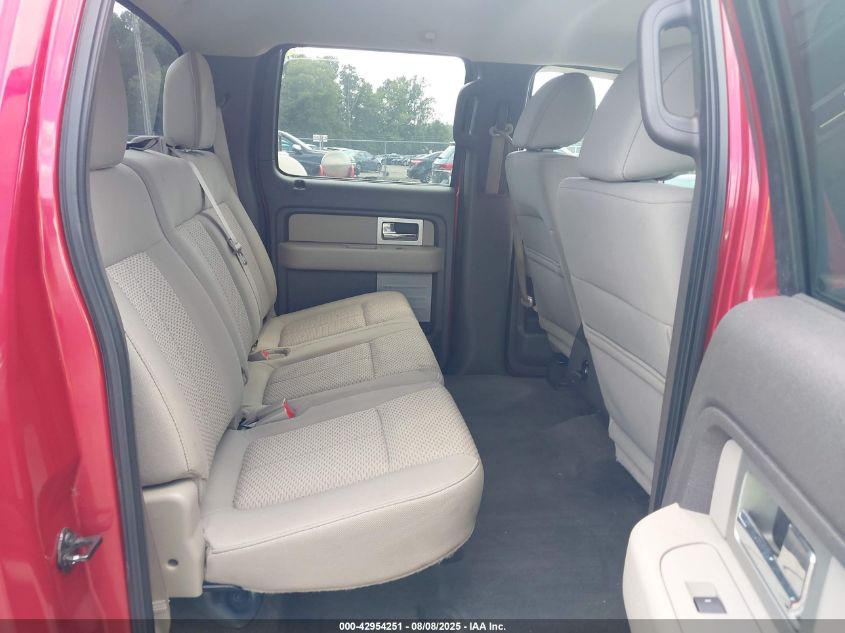 2010 Ford F-150 Xlt VIN: 1FTEW1C83AFC46423 Lot: 42954251