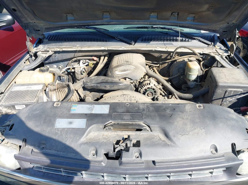 2002 Chevrolet Silverado 1500 Ls VIN: 2GCEC19T221164230 Lot: 42956070