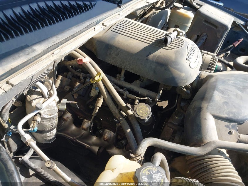 2002 Chevrolet Silverado 1500 Ls VIN: 2GCEC19T221164230 Lot: 42956070