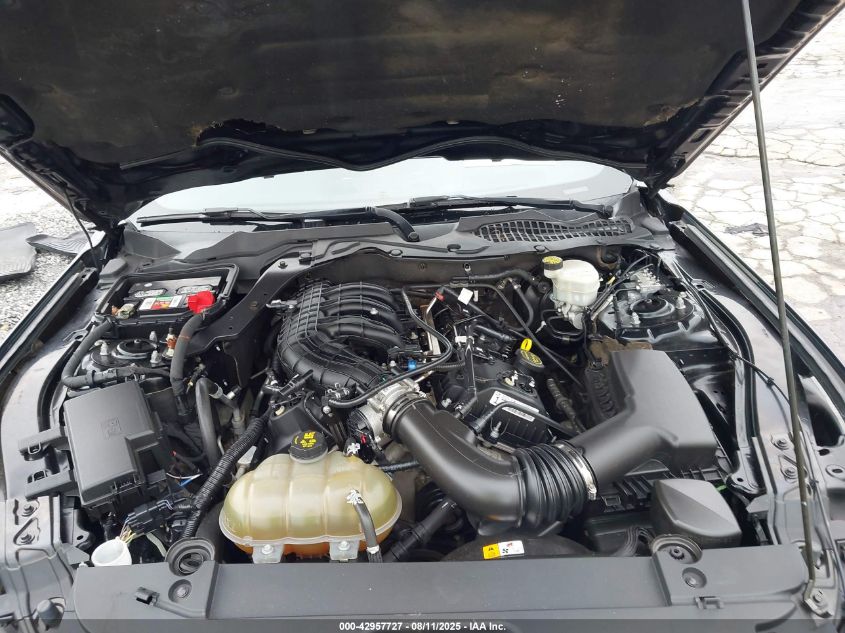 2017 Ford Mustang V6 VIN: 1FA6P8AM3H5226379 Lot: 42957727