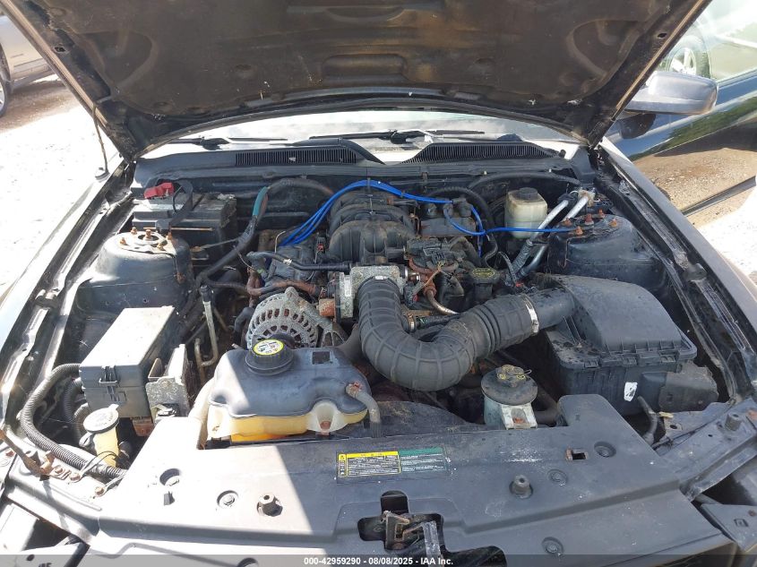 2007 Ford Mustang V6 Deluxe/V6 Premium VIN: 1ZVFT84N875366627 Lot: 42959290