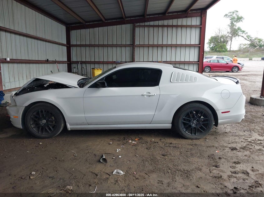 2014 FORD MUSTANG V6 - 1ZVBP8AM2E5246978
