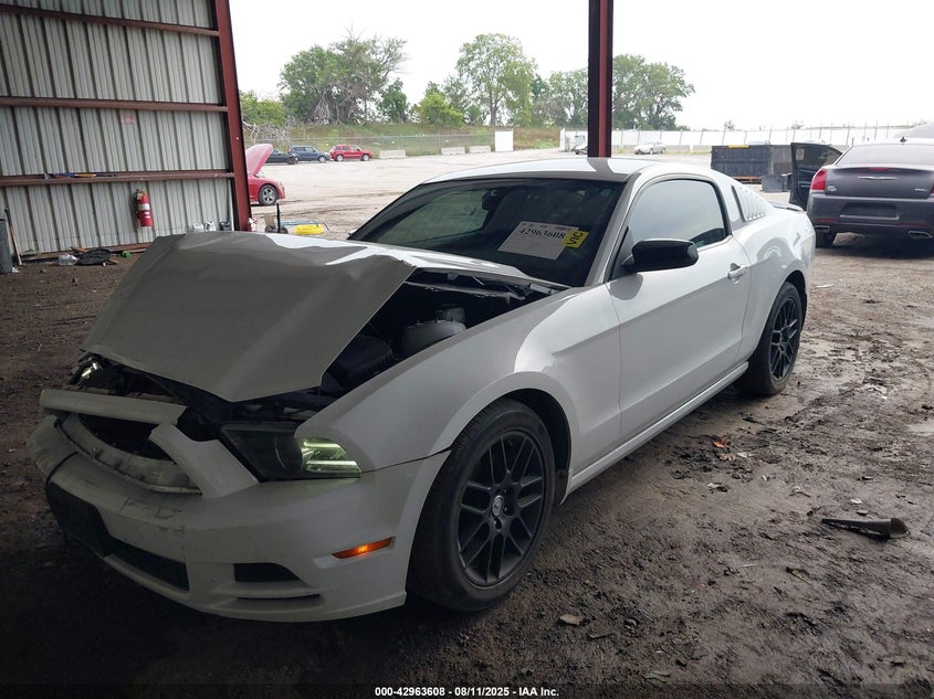 2014 FORD MUSTANG V6 - 1ZVBP8AM2E5246978