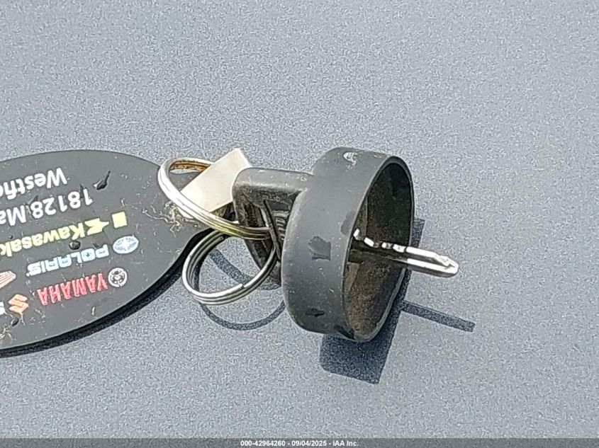 2021 Yamaha Yxe1000 VIN: 5Y4AN40Y5MA100802 Lot: 42964260