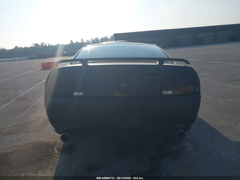 2005 Ford Mustang Gt Deluxe/Gt Premium VIN: 1ZVFT82H655110464 Lot: 42964712