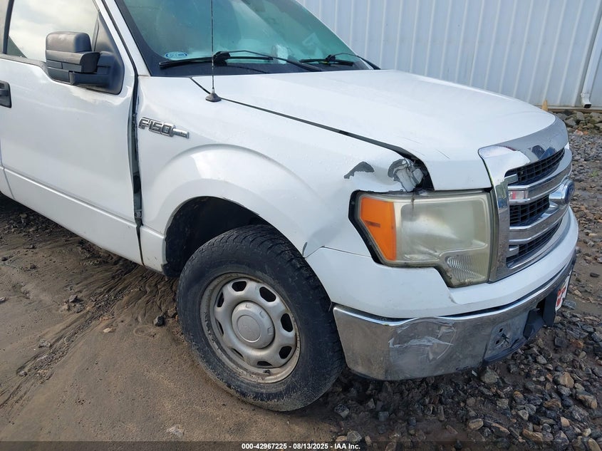 2014 FORD F-150 XL - 1FTNF1CF9EKD18365