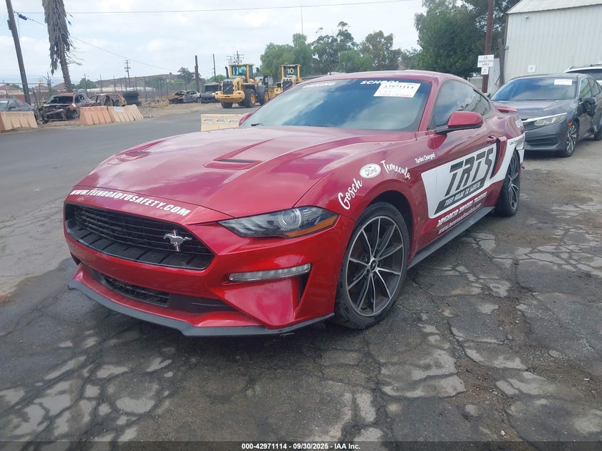 1FA6P8TH9P5102504 2023 FORD MUSTANG photo no. 2