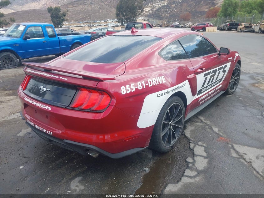 1FA6P8TH9P5102504 2023 FORD MUSTANG photo no. 4