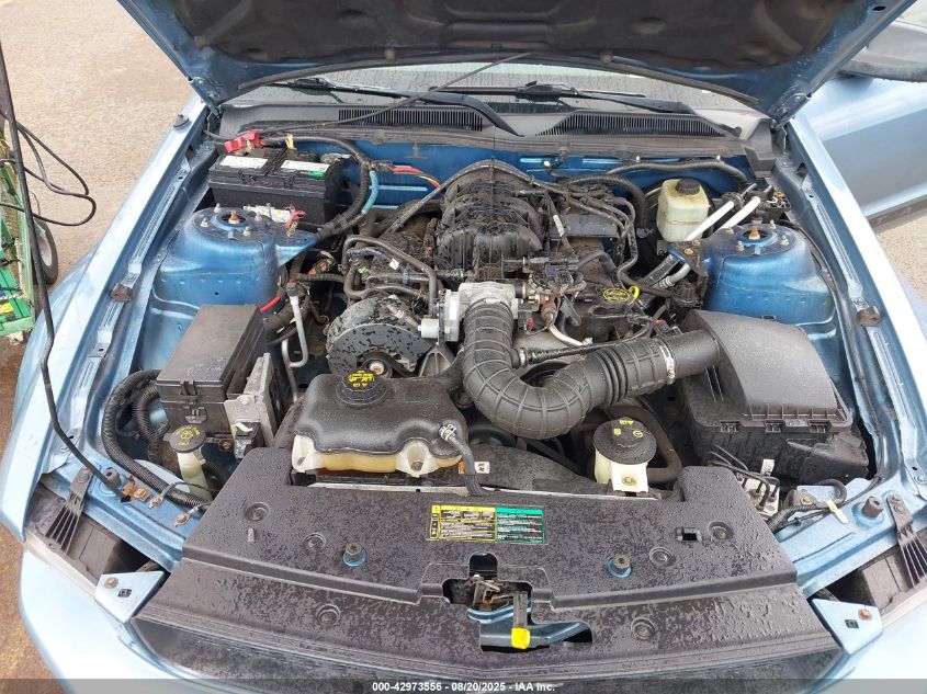 2005 Ford Mustang V6 Deluxe/V6 Premium VIN: 1ZVFT80N355233003 Lot: 42973556