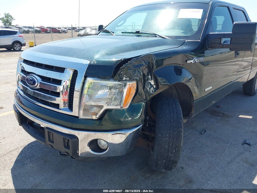 2012 Ford F-150 Xlt VIN: 1FTVW1ET1CKD79841 Lot: 42974607