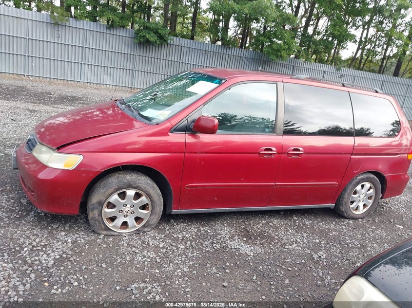 2003 Honda Odyssey VIN: 5FNRL.18673B09193 Lot: 42975675