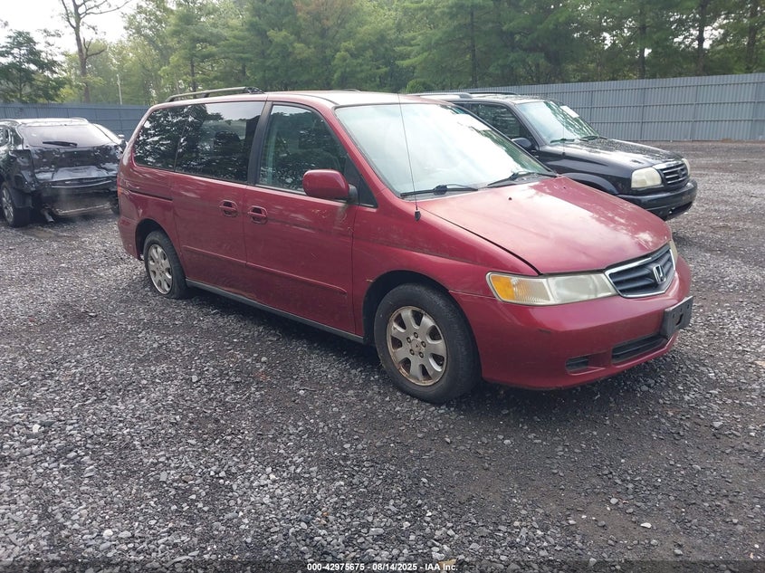 2003 Honda Odyssey VIN: 5FNRL.18673B09193 Lot: 42975675
