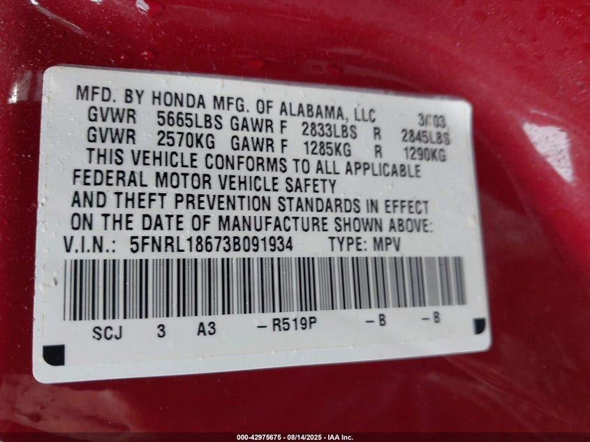 2003 Honda Odyssey VIN: 5FNRL.18673B09193 Lot: 42975675