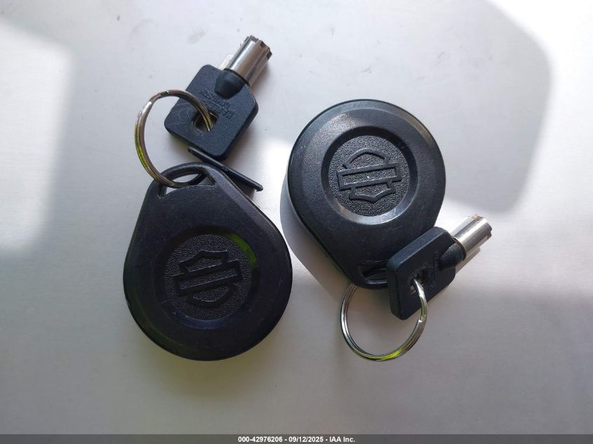 2015 Harley-Davidson Flhtk Ultra Limited VIN: 1HD1KEL10FB651270 Lot: 42976206