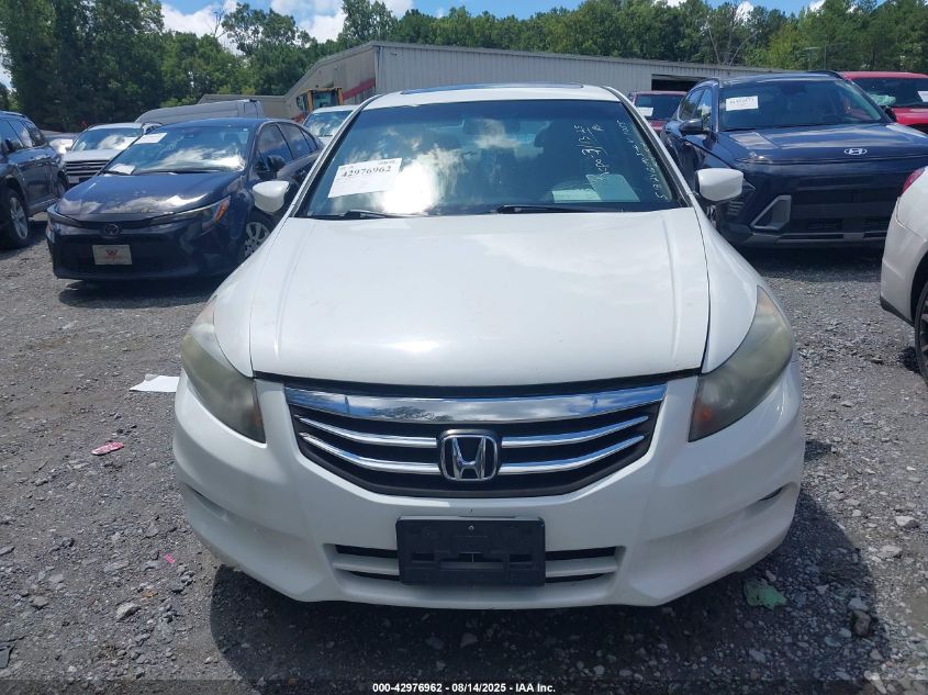 2011 Honda Accord 3.5 Ex-L VIN: 1HGCP3F85BA031055 Lot: 42976962