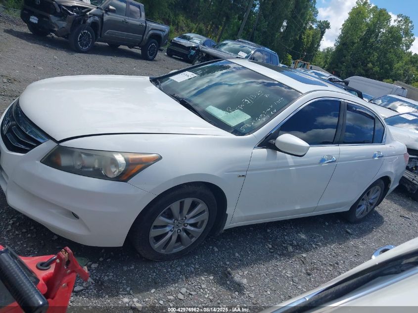 2011 Honda Accord 3.5 Ex-L VIN: 1HGCP3F85BA031055 Lot: 42976962