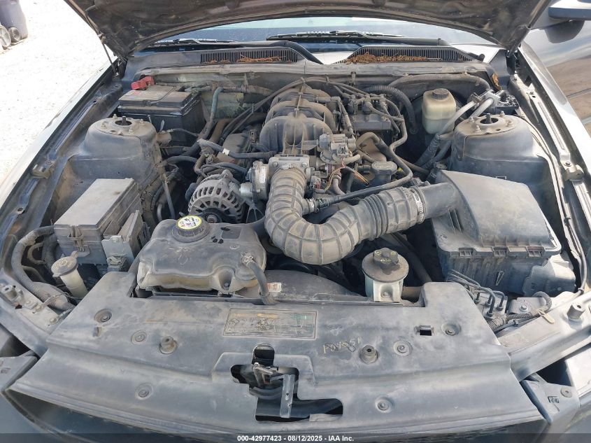 2008 Ford Mustang V6 Deluxe/V6 Premium VIN: 1ZVHT84N185169664 Lot: 42977423