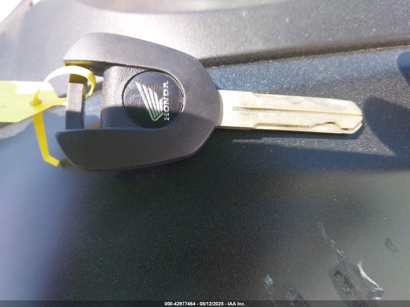 2024 HONDA CBF300 NA - MLHNC5553R5400050