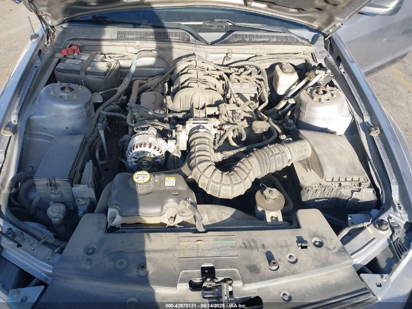 2007 Ford Mustang V6 Deluxe/V6 Premium VIN: 1ZVFT80N075357863 Lot: 42978131