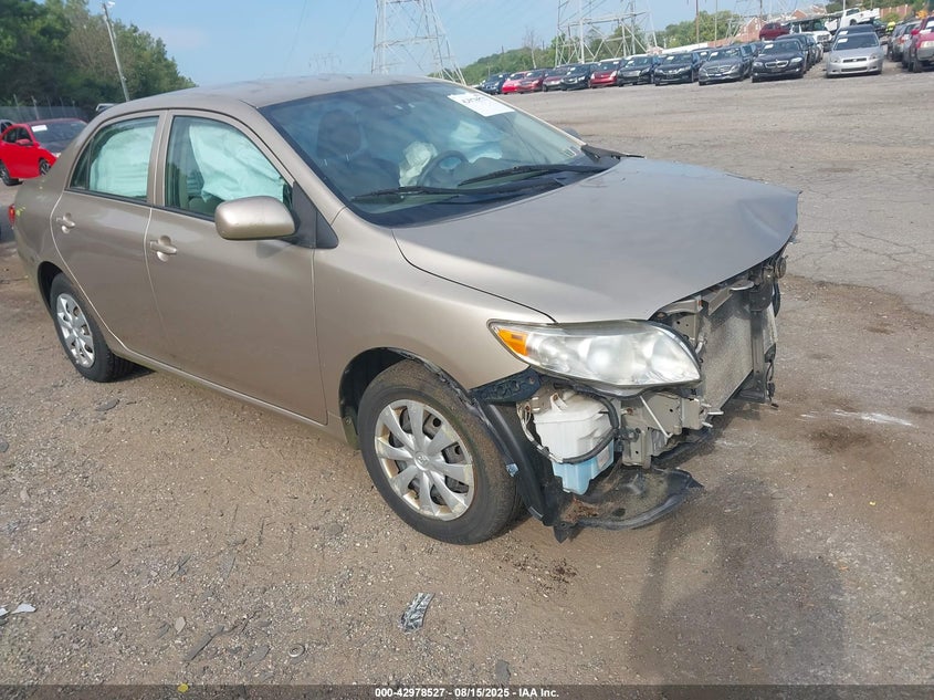 1NXBU40E19Z164570 2009 Toyota Corolla Le auction photo 1