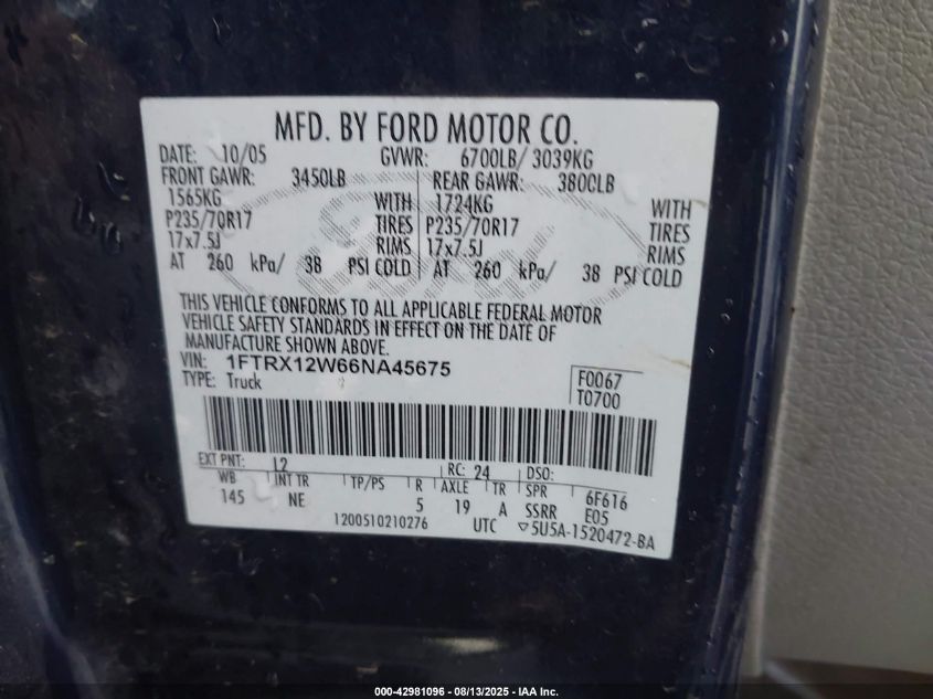 2006 Ford F-150 Stx/Xl/Xlt VIN: 1FTRX12W66NA45675 Lot: 42981096