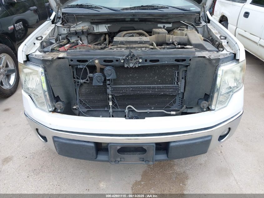 2010 Ford F-150 Fx2 Sport/Stx/Xl/Xlt VIN: 1FTEX1C88AKE74521 Lot: 42981115