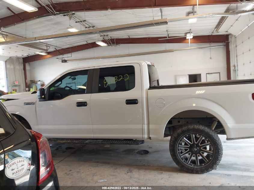 2020 Ford F-150 Xl VIN: 1FTEW1E59LFC81554 Lot: 42982822