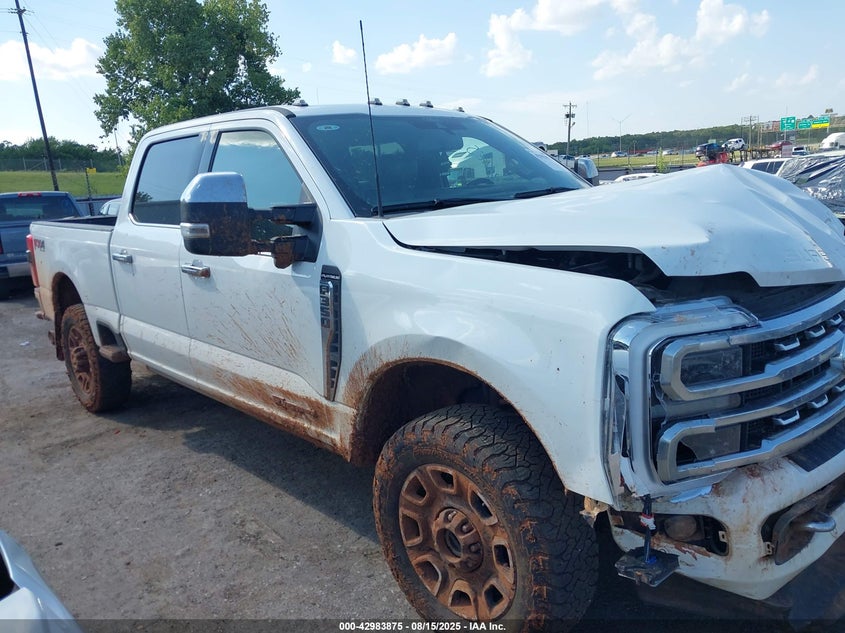 2024 Ford F-350 Platinum VIN: 1FT8W3BM4REC68553 Lot: 42983875