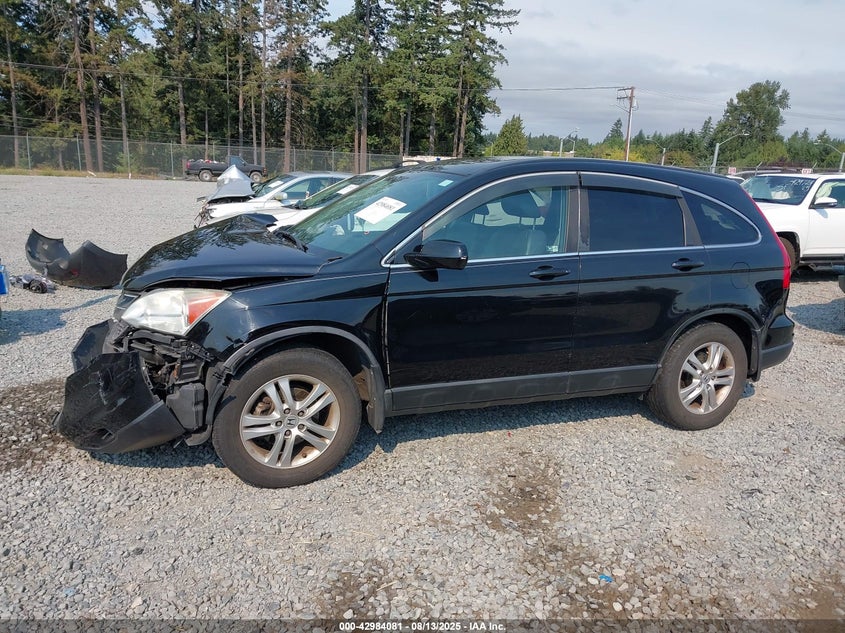 2010 Honda Cr-V Ex-L VIN: 5J6RE4H75AL050338 Lot: 42984081