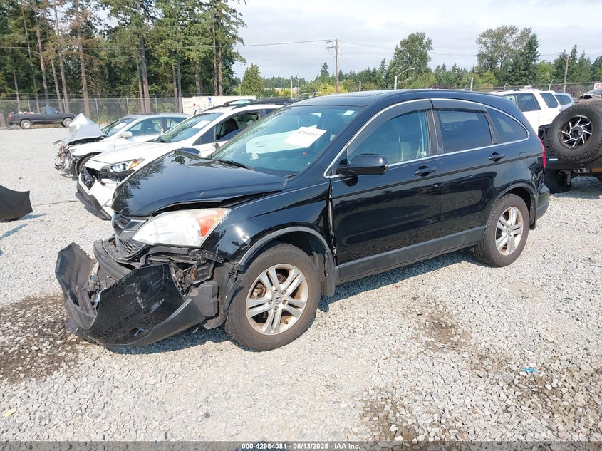 2010 HONDA CR-V auction photo 2
