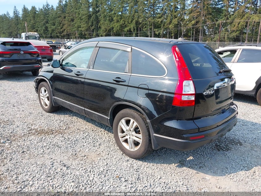 2010 HONDA CR-V auction photo 3