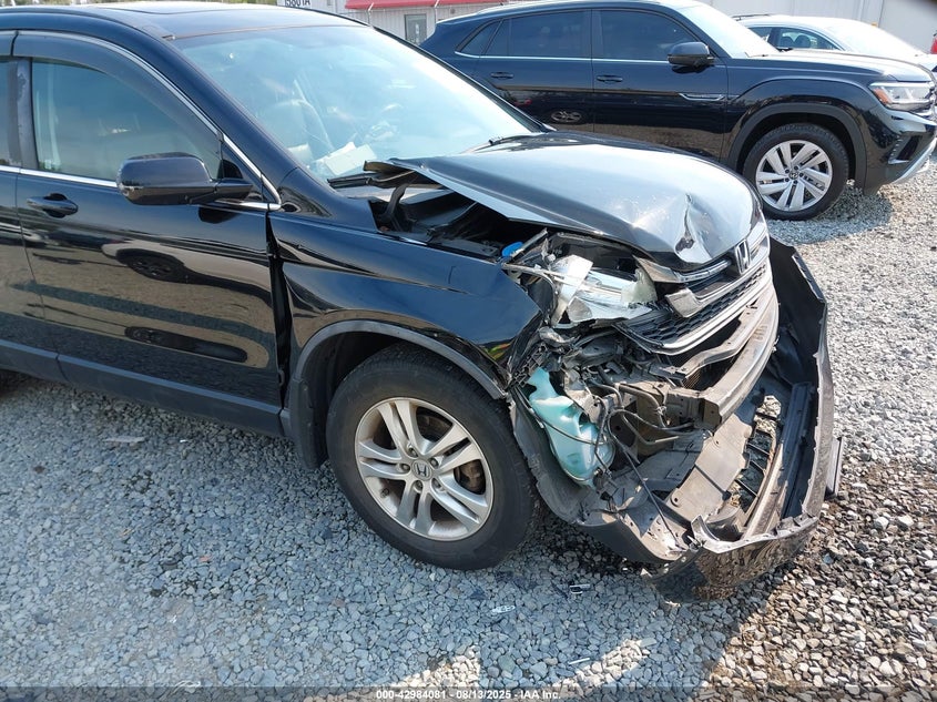 2010 HONDA CR-V auction photo 6